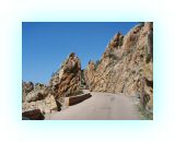 SardKors2010- (95)-web1.jpg